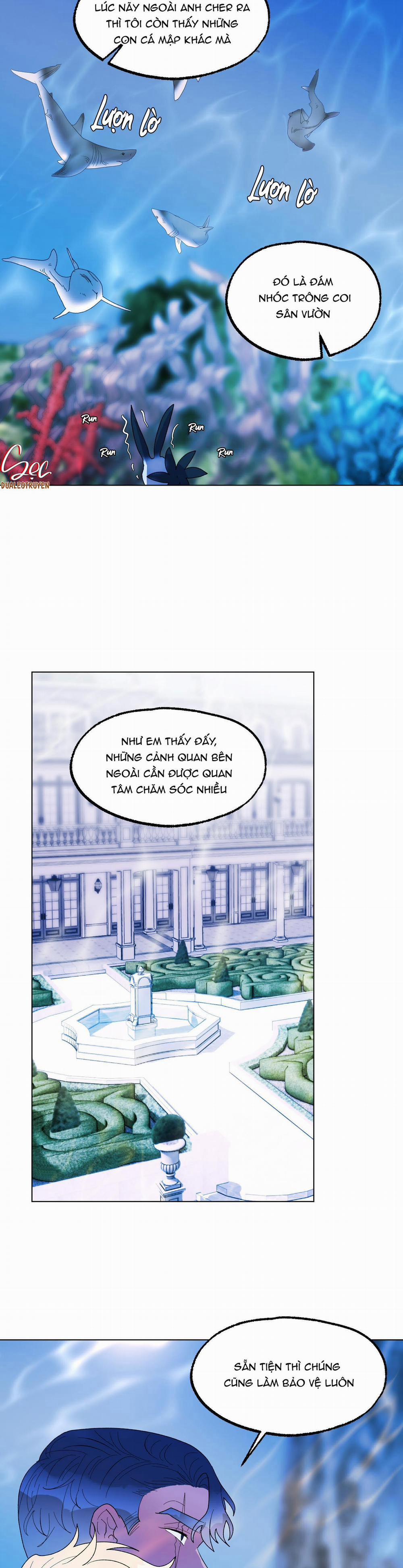 CÁ MẬP VÀ CÔ DÂU THỎ 14 trang 22