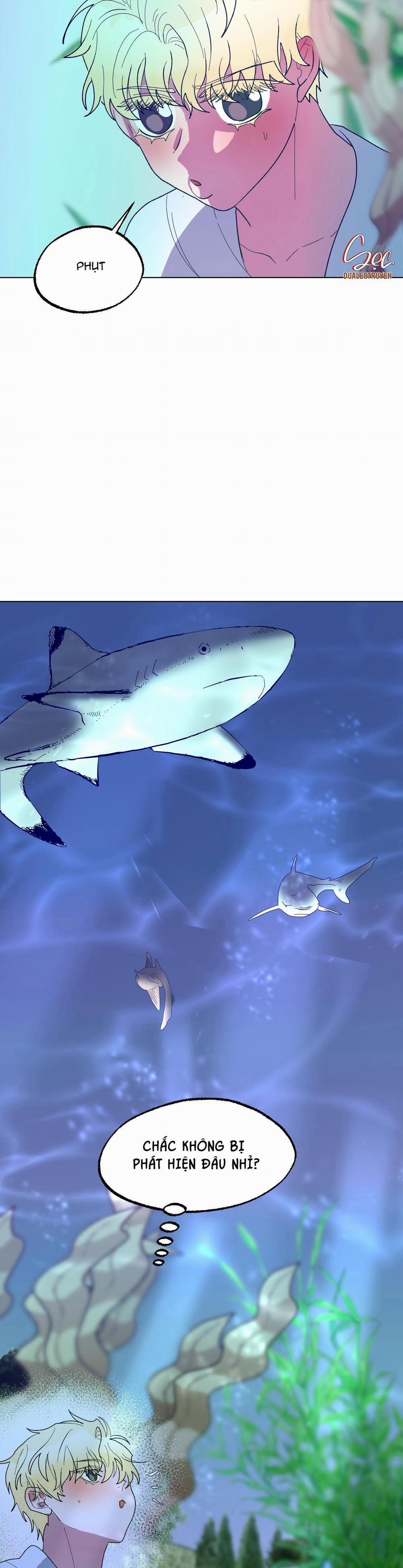 CÁ MẬP VÀ CÔ DÂU THỎ 14 trang 5