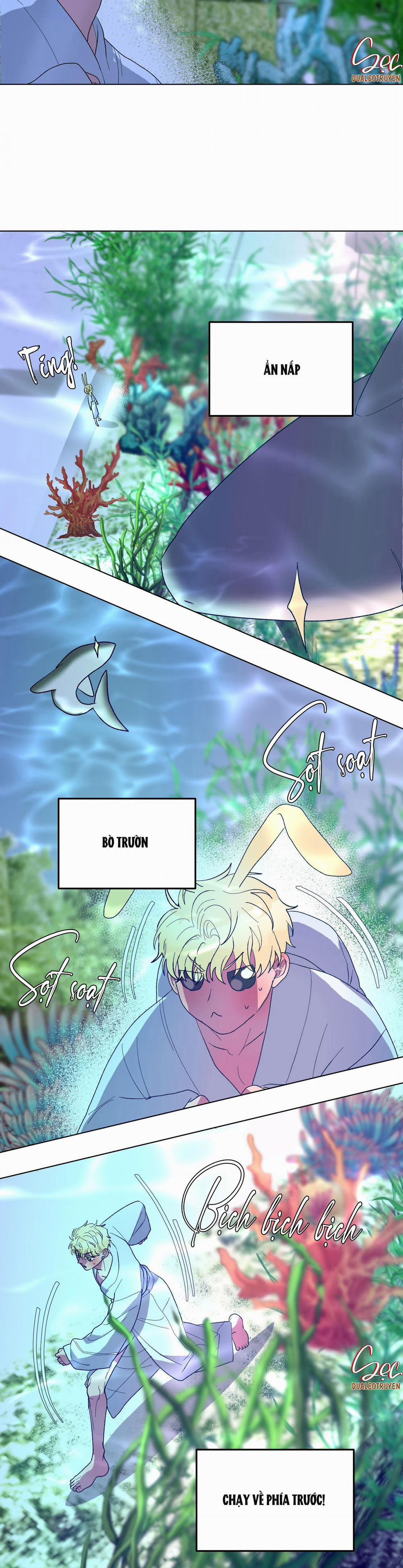 CÁ MẬP VÀ CÔ DÂU THỎ 14 trang 6