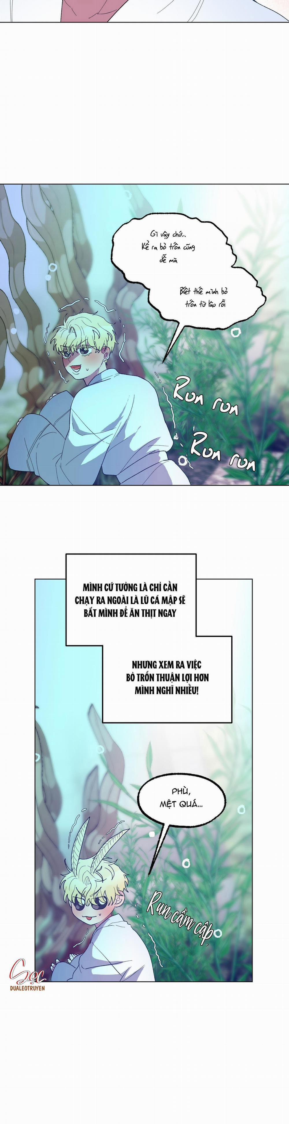 CÁ MẬP VÀ CÔ DÂU THỎ 14 trang 8