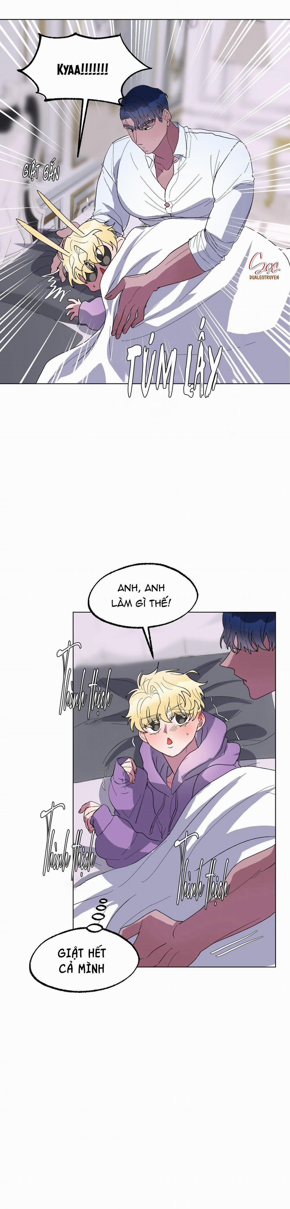 CÁ MẬP VÀ CÔ DÂU THỎ 15 trang 9