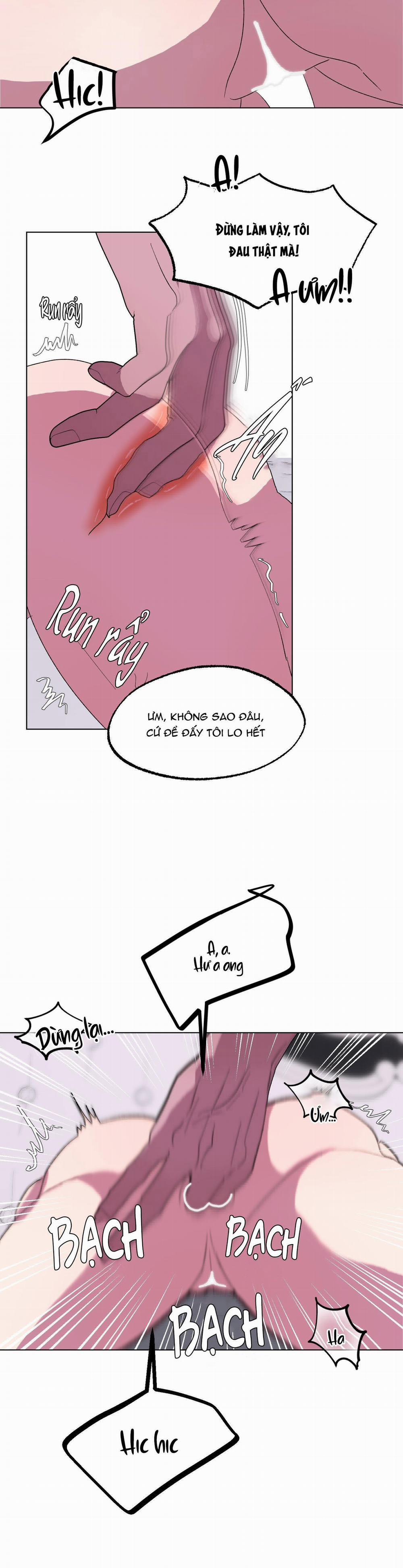 CÁ MẬP VÀ CÔ DÂU THỎ 15 trang 24
