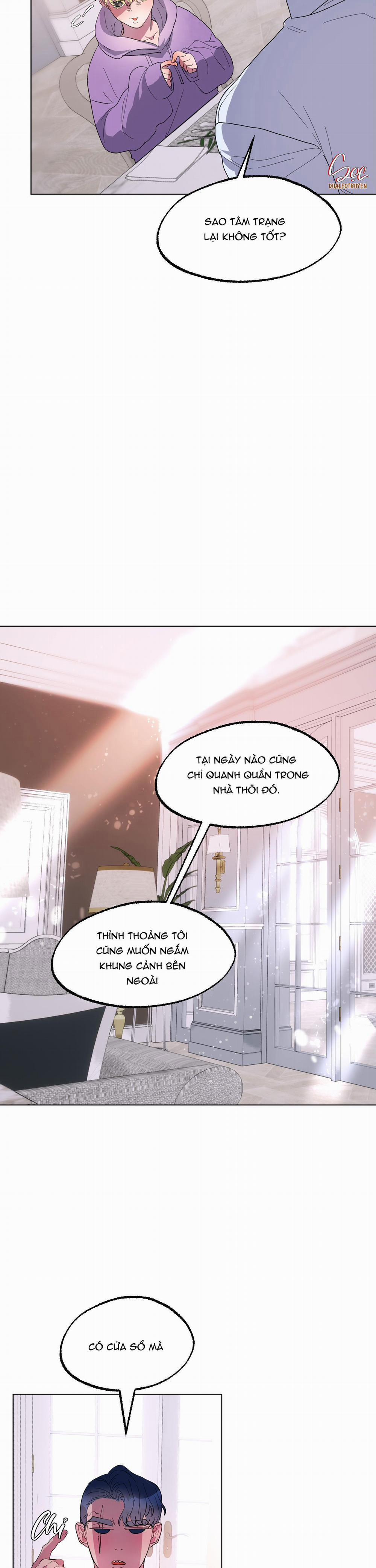 CÁ MẬP VÀ CÔ DÂU THỎ 15 trang 3