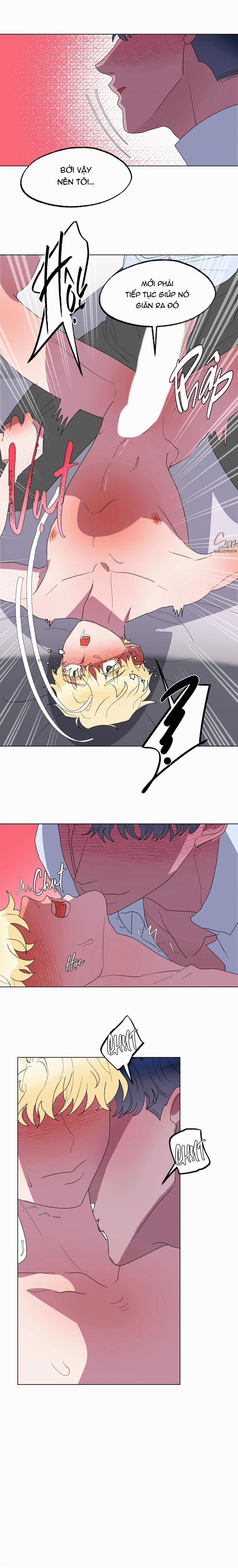 CÁ MẬP VÀ CÔ DÂU THỎ 16 trang 10