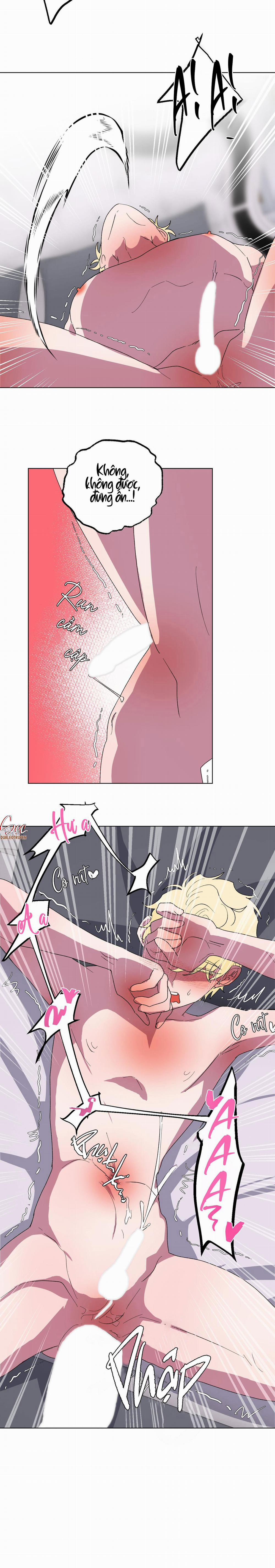 CÁ MẬP VÀ CÔ DÂU THỎ 16 trang 14