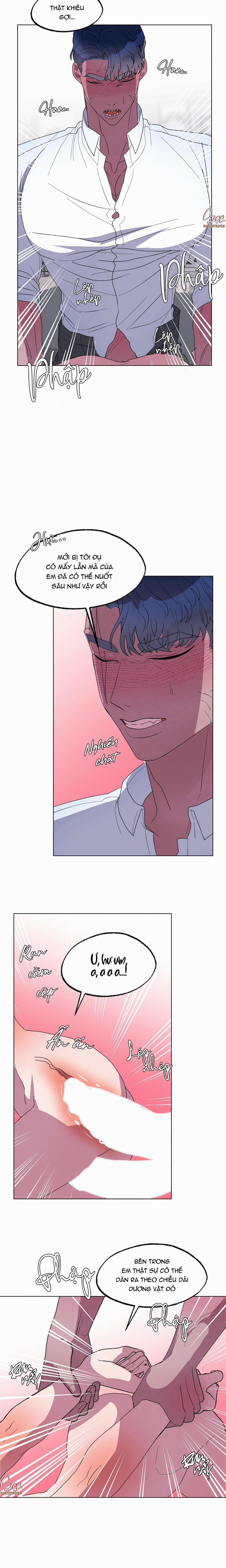 CÁ MẬP VÀ CÔ DÂU THỎ 16 trang 1