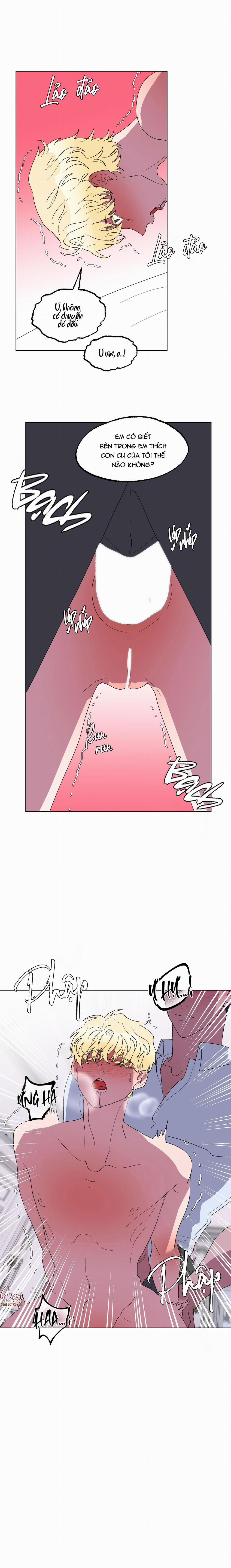 CÁ MẬP VÀ CÔ DÂU THỎ 16 trang 2