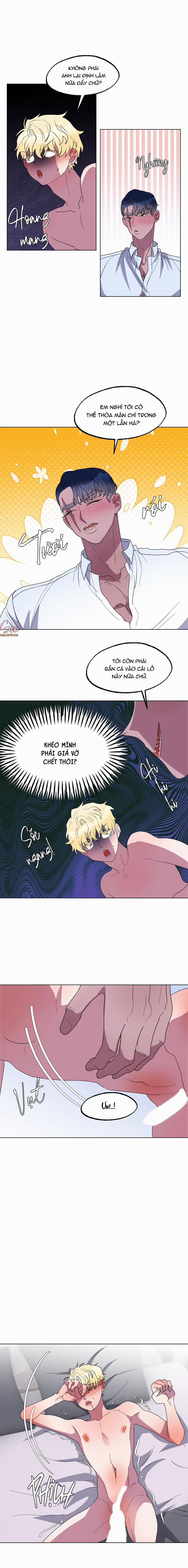 CÁ MẬP VÀ CÔ DÂU THỎ 16 trang 6