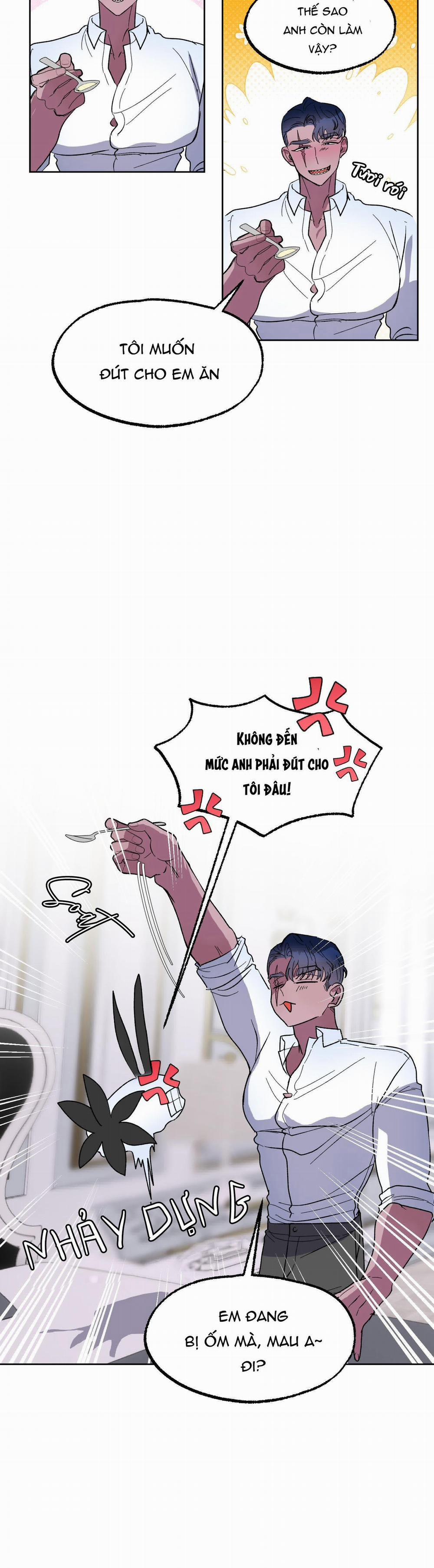 CÁ MẬP VÀ CÔ DÂU THỎ 17 trang 18