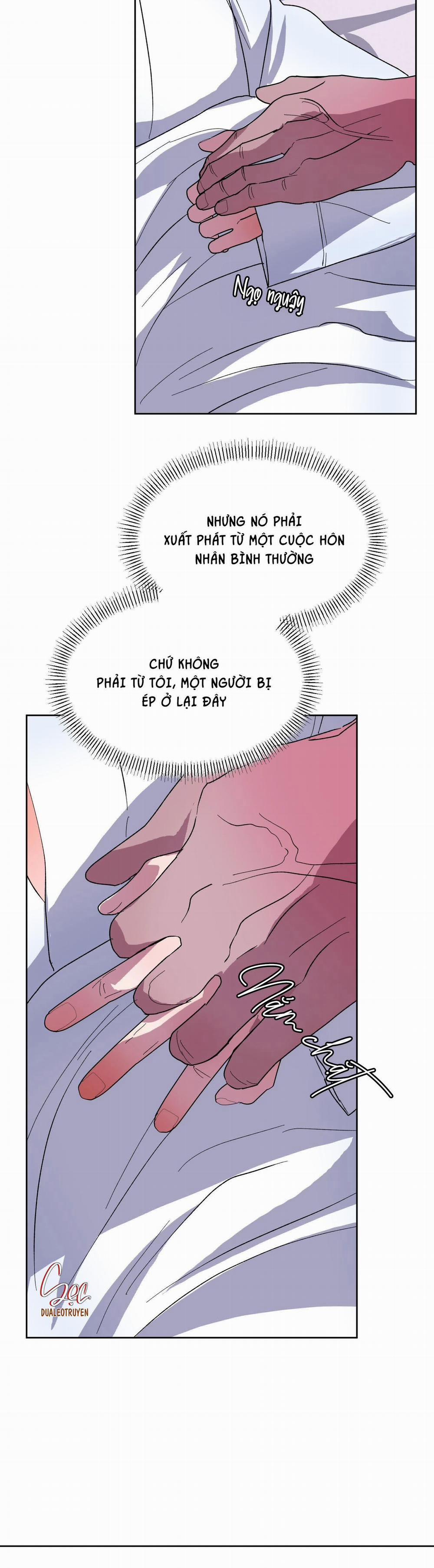 CÁ MẬP VÀ CÔ DÂU THỎ 17 trang 29