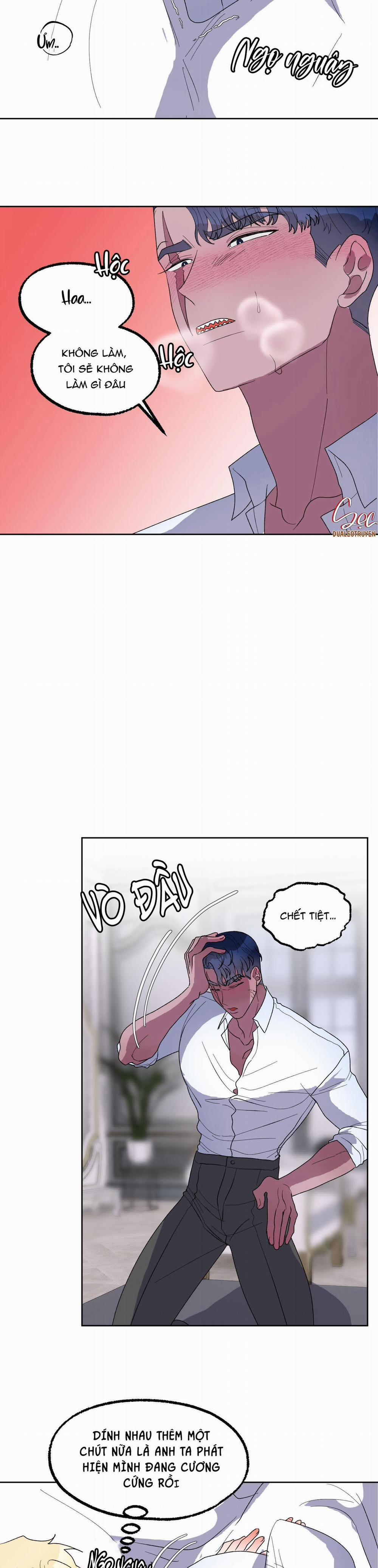 CÁ MẬP VÀ CÔ DÂU THỎ 18 trang 15