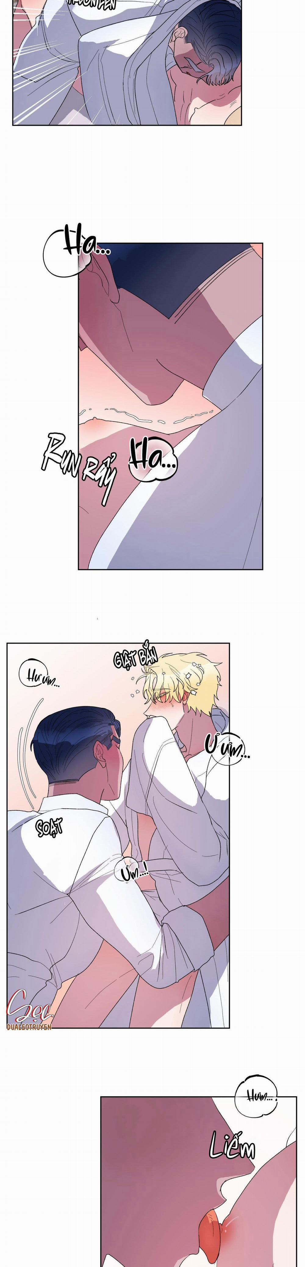 CÁ MẬP VÀ CÔ DÂU THỎ 18 trang 17