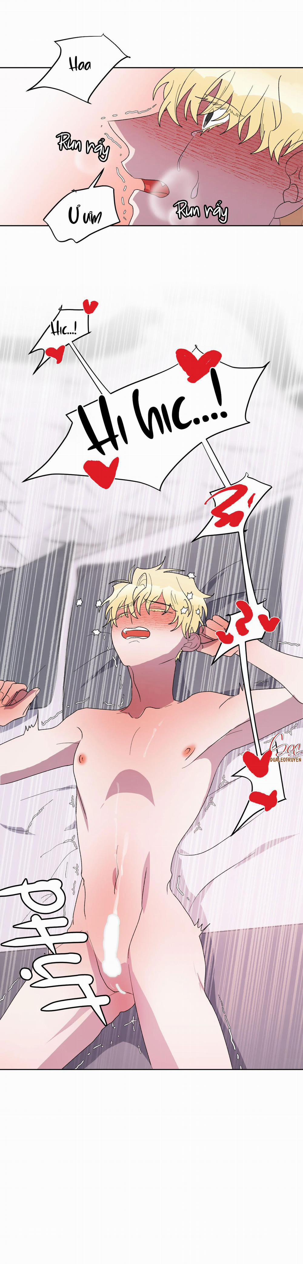 CÁ MẬP VÀ CÔ DÂU THỎ 19 trang 10