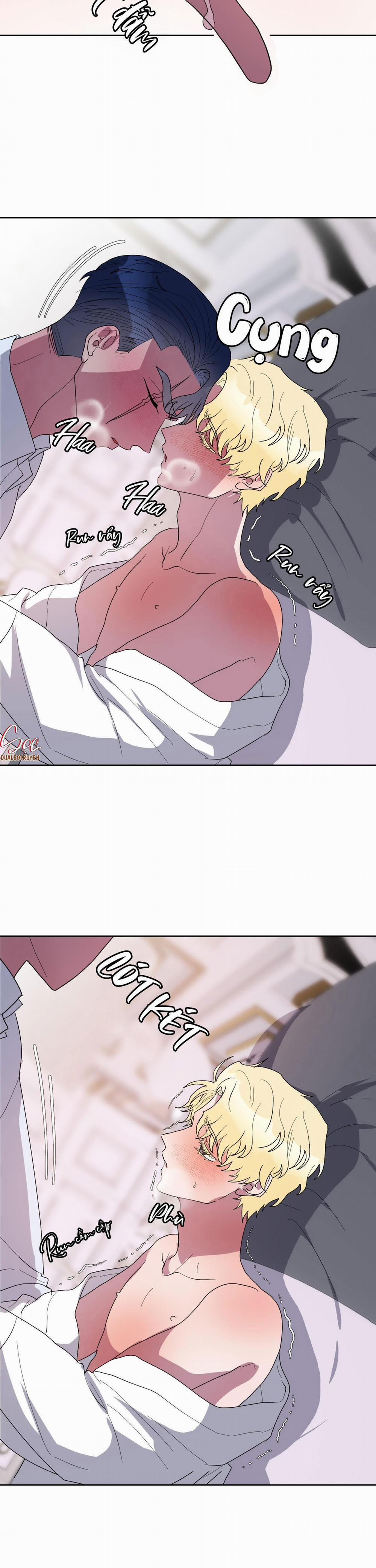 CÁ MẬP VÀ CÔ DÂU THỎ 19 trang 12