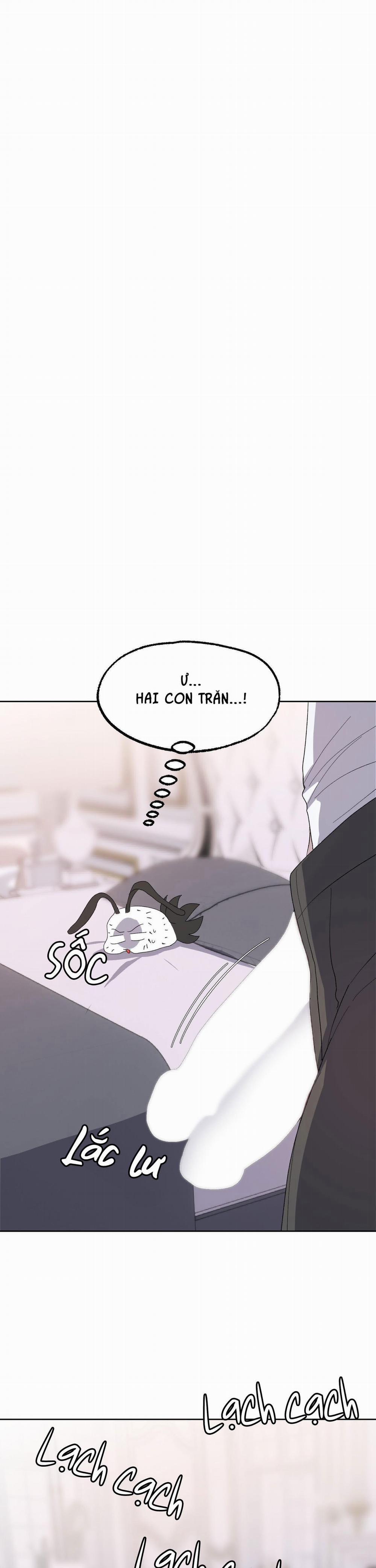 CÁ MẬP VÀ CÔ DÂU THỎ 19 trang 13