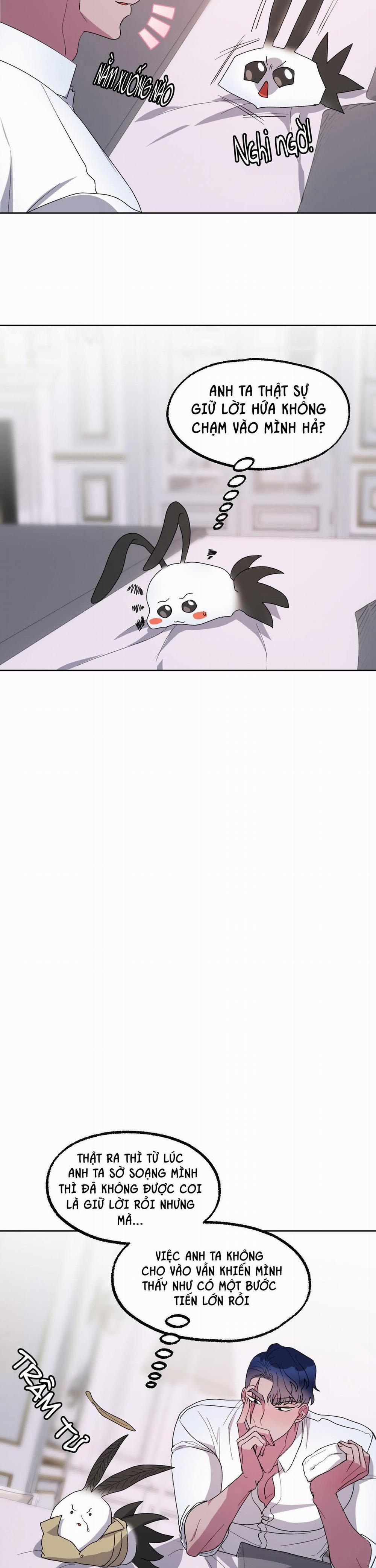 CÁ MẬP VÀ CÔ DÂU THỎ 19 trang 16