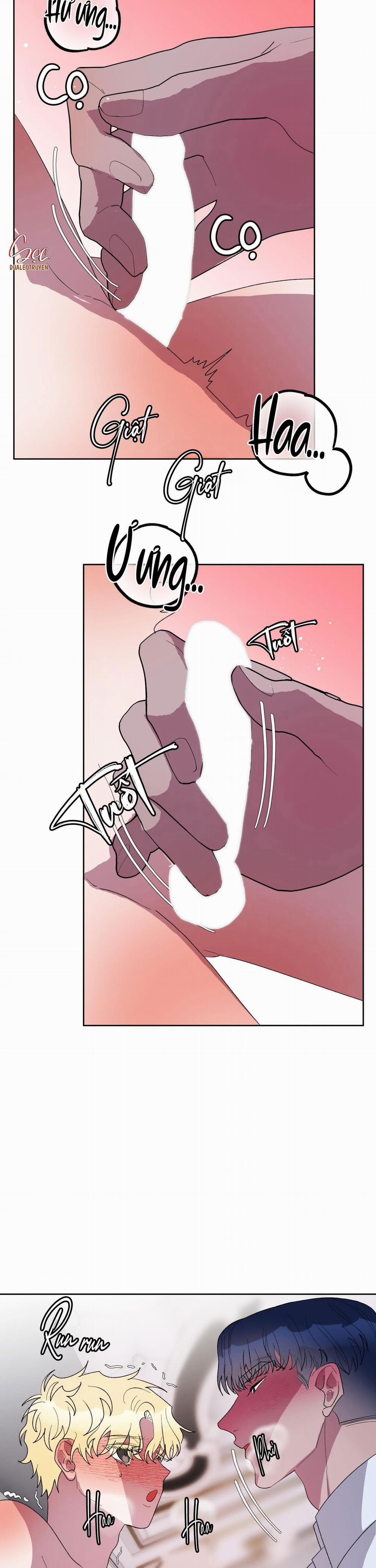 CÁ MẬP VÀ CÔ DÂU THỎ 19 trang 1