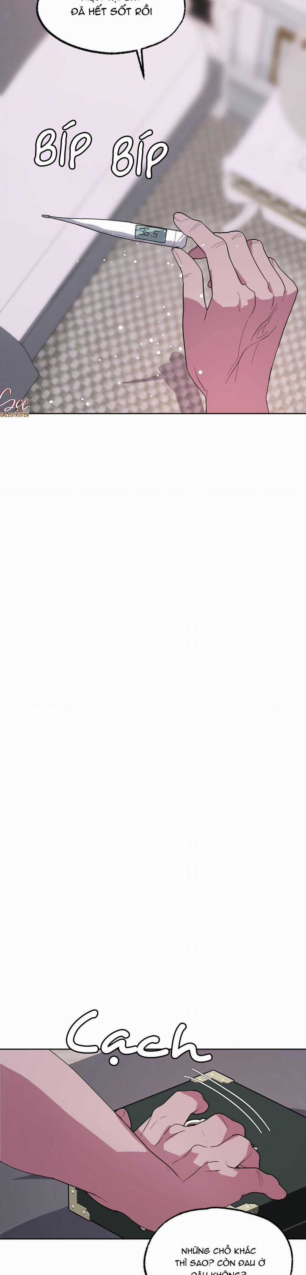 CÁ MẬP VÀ CÔ DÂU THỎ 19 trang 21