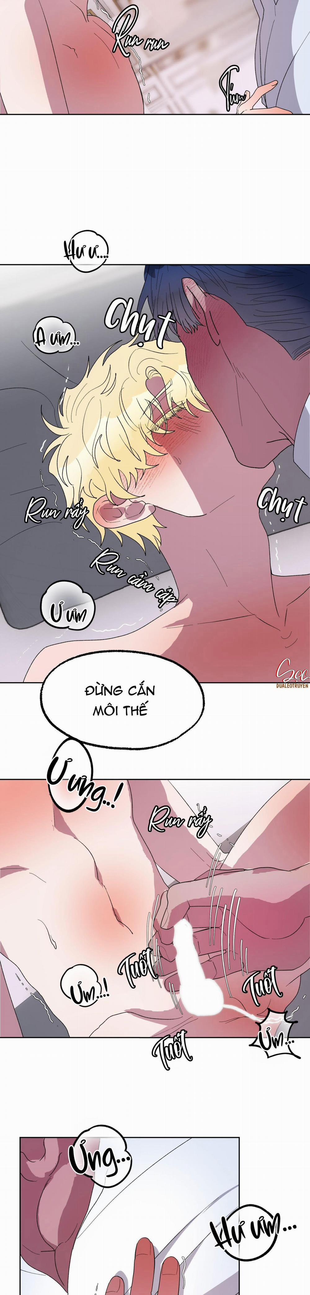 CÁ MẬP VÀ CÔ DÂU THỎ 19 trang 2