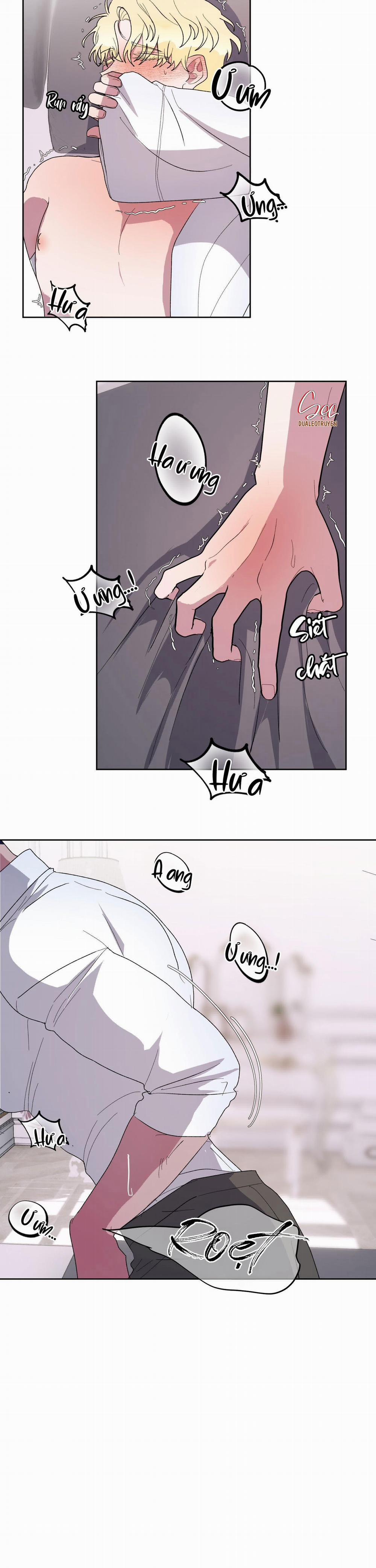 CÁ MẬP VÀ CÔ DÂU THỎ 19 trang 4