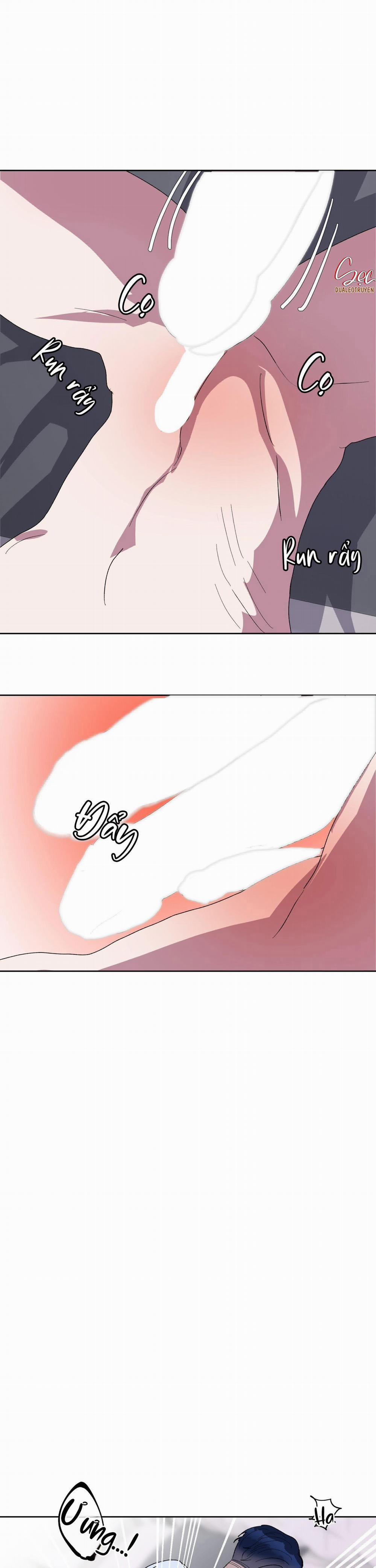 CÁ MẬP VÀ CÔ DÂU THỎ 19 trang 6