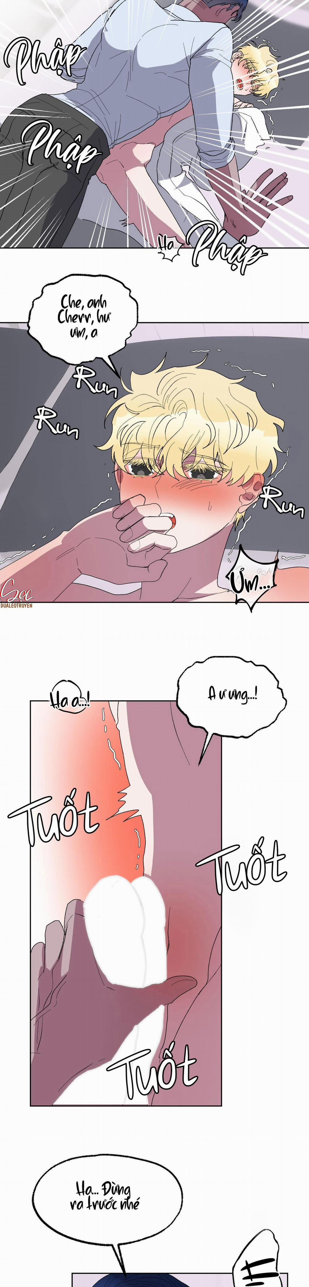 CÁ MẬP VÀ CÔ DÂU THỎ 19 trang 7