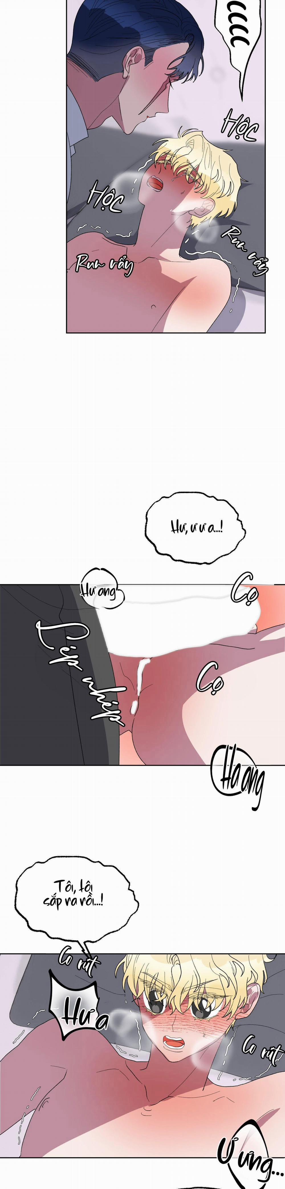 CÁ MẬP VÀ CÔ DÂU THỎ 19 trang 8