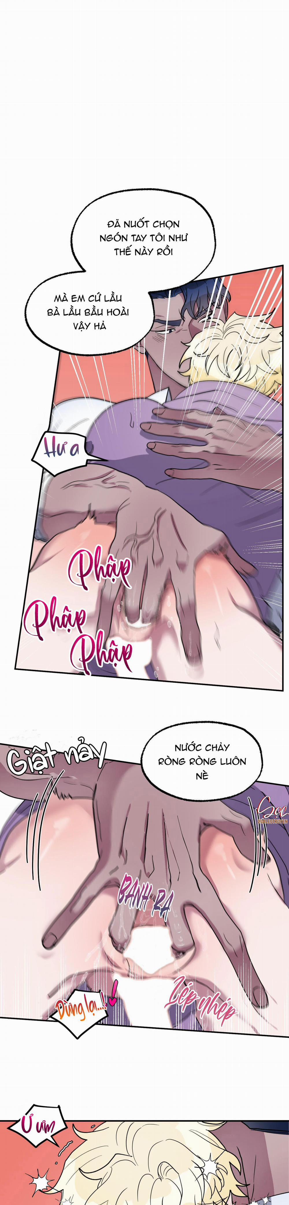 CÁ MẬP VÀ CÔ DÂU THỎ 2 trang 13