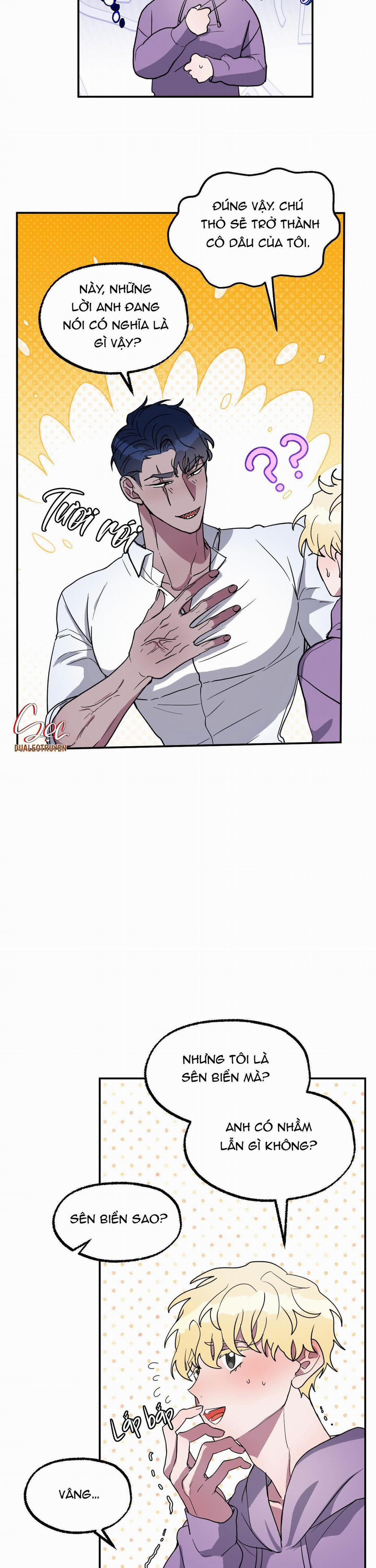 CÁ MẬP VÀ CÔ DÂU THỎ 2 trang 1