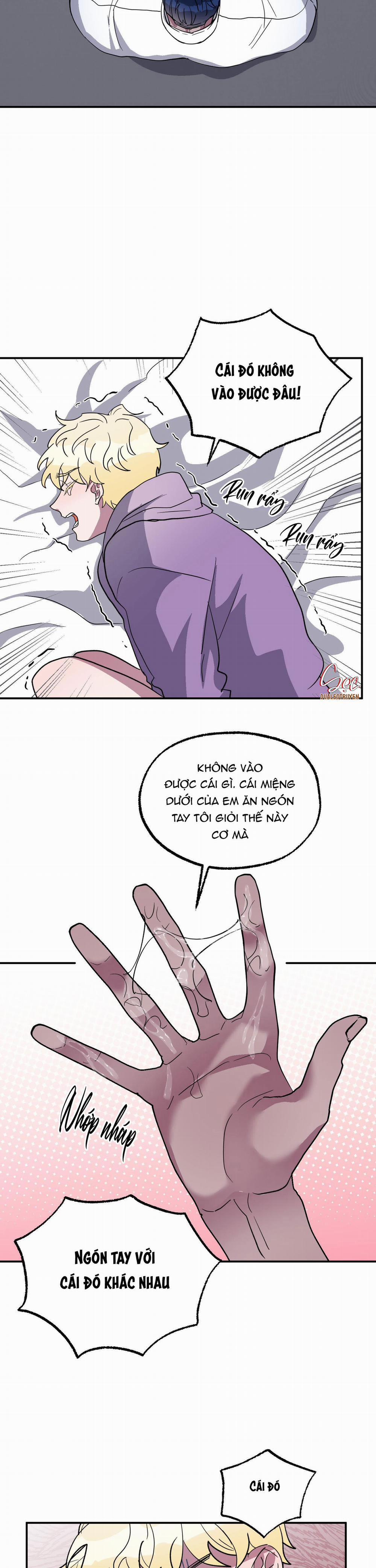 CÁ MẬP VÀ CÔ DÂU THỎ 2 trang 19