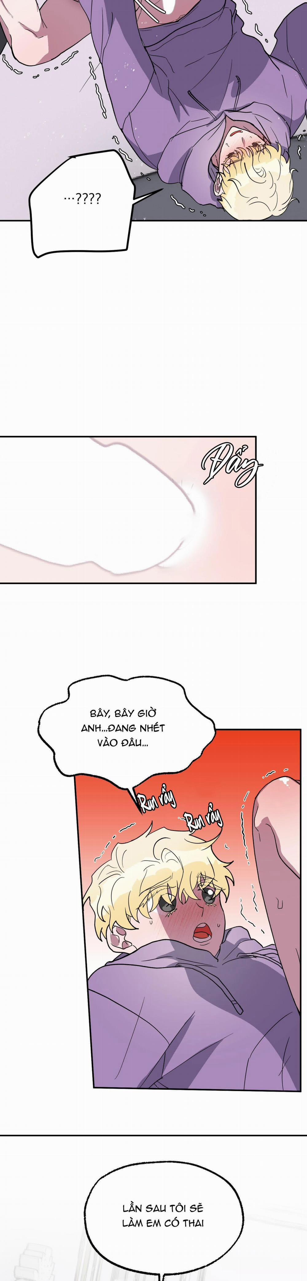 CÁ MẬP VÀ CÔ DÂU THỎ 2 trang 23