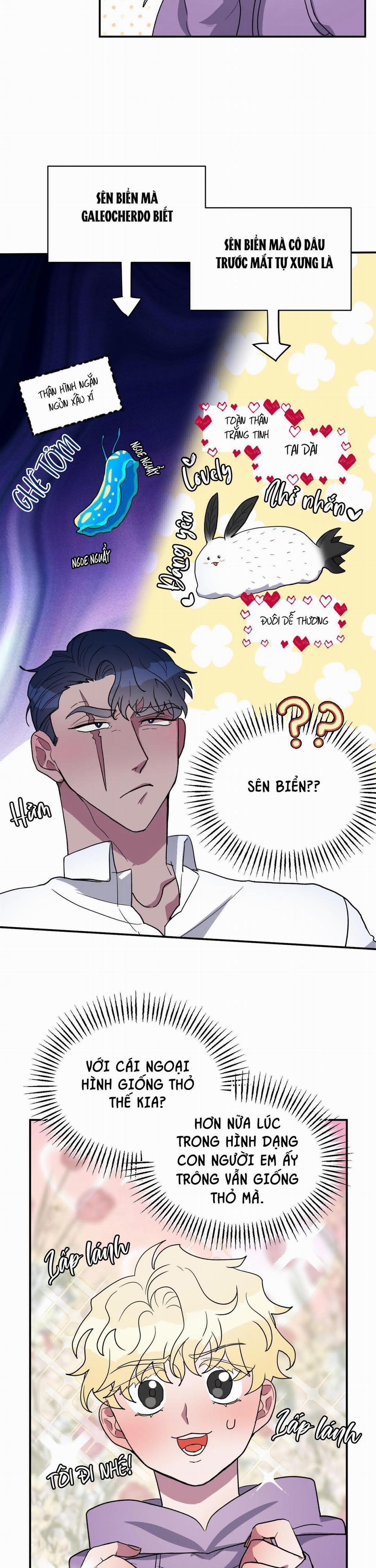 CÁ MẬP VÀ CÔ DÂU THỎ 2 trang 2