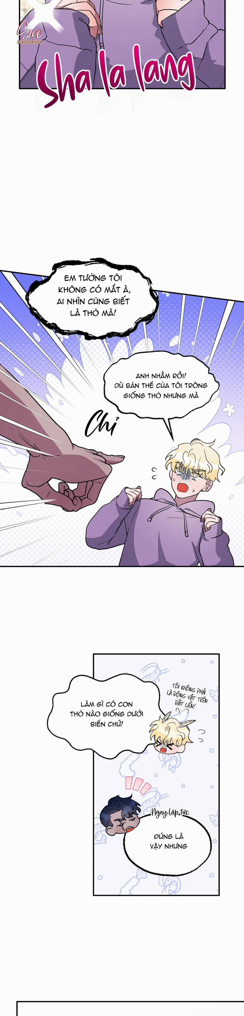 CÁ MẬP VÀ CÔ DÂU THỎ 2 trang 3