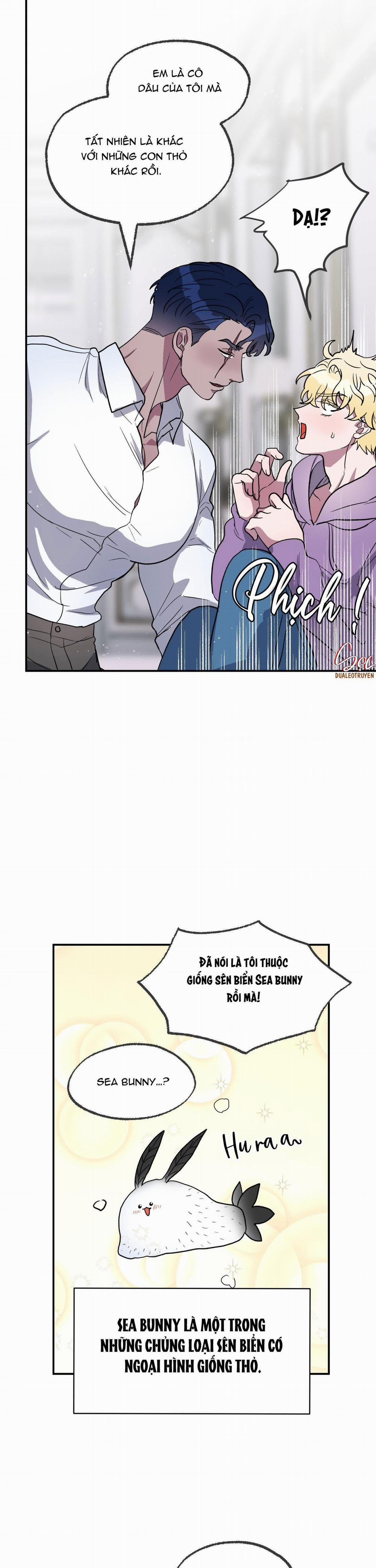 CÁ MẬP VÀ CÔ DÂU THỎ 2 trang 4