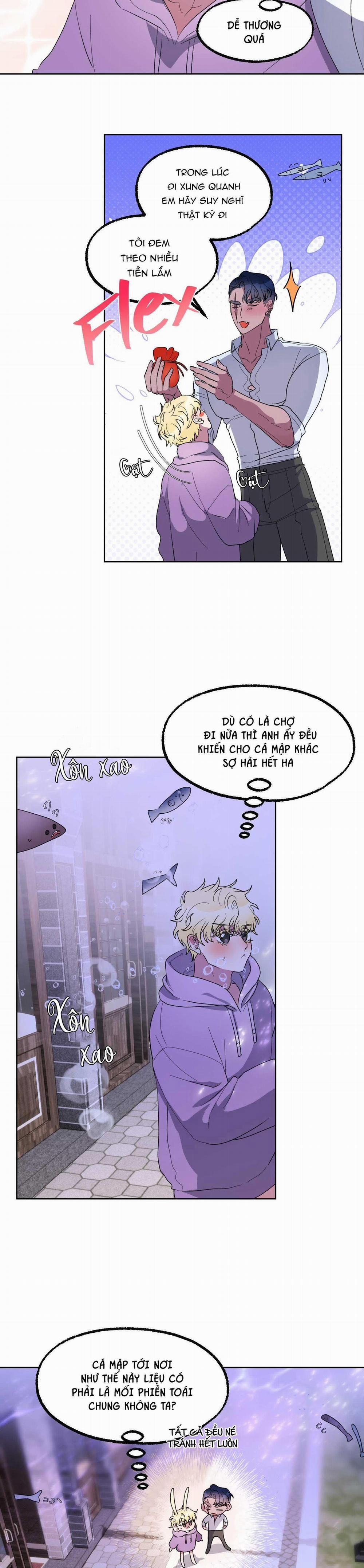 CÁ MẬP VÀ CÔ DÂU THỎ 20 trang 9