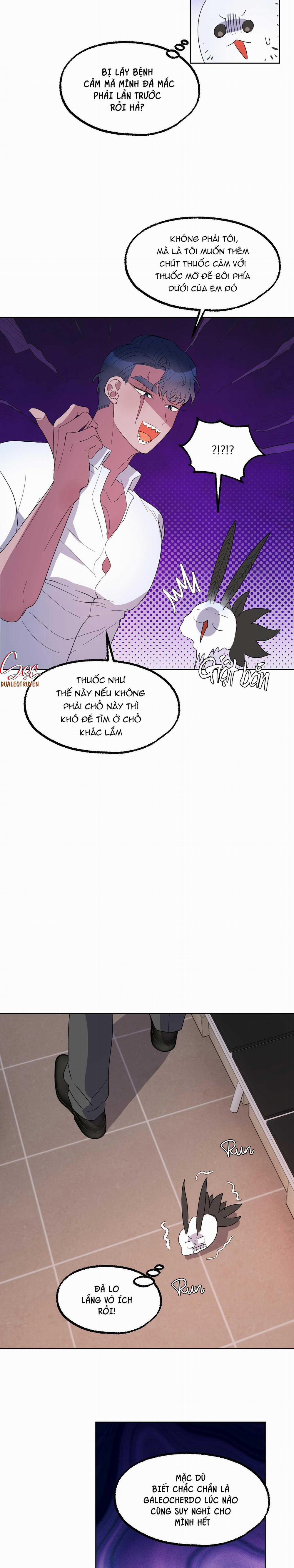 CÁ MẬP VÀ CÔ DÂU THỎ 20 trang 11
