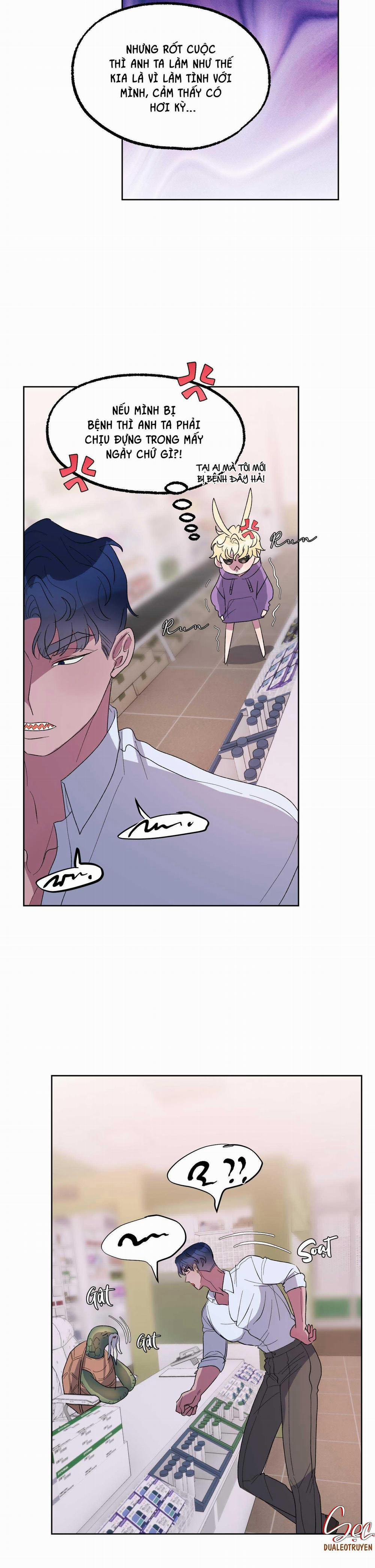 CÁ MẬP VÀ CÔ DÂU THỎ 20 trang 12