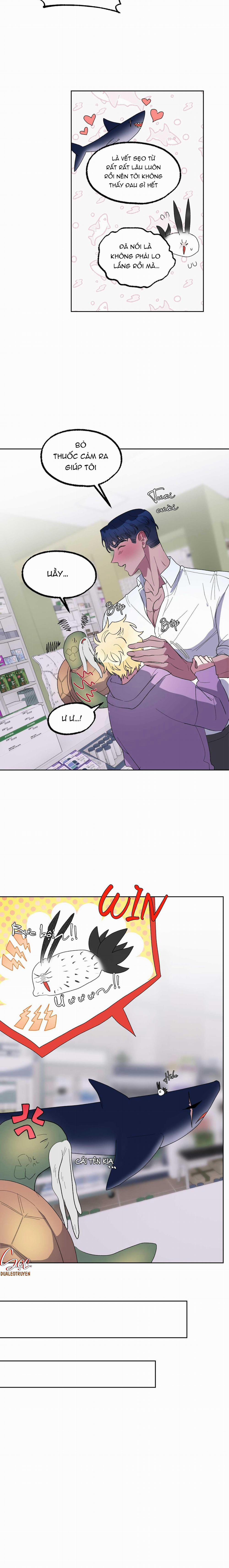 CÁ MẬP VÀ CÔ DÂU THỎ 20 trang 17