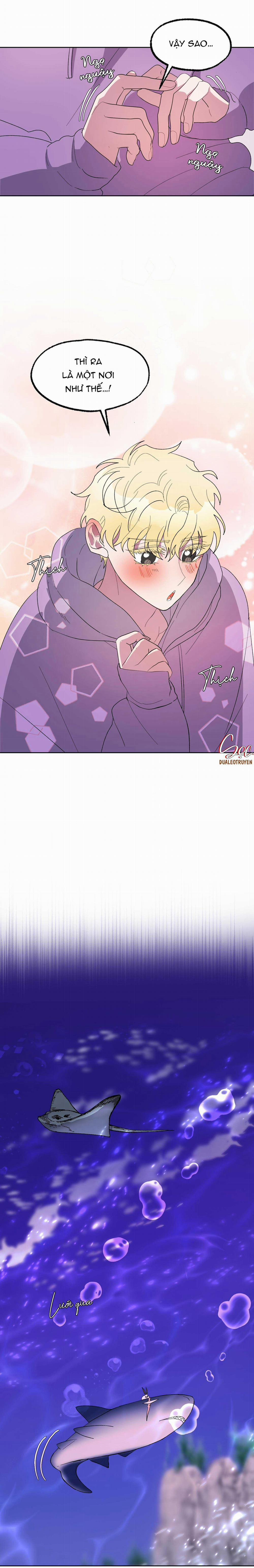 CÁ MẬP VÀ CÔ DÂU THỎ 20 trang 4