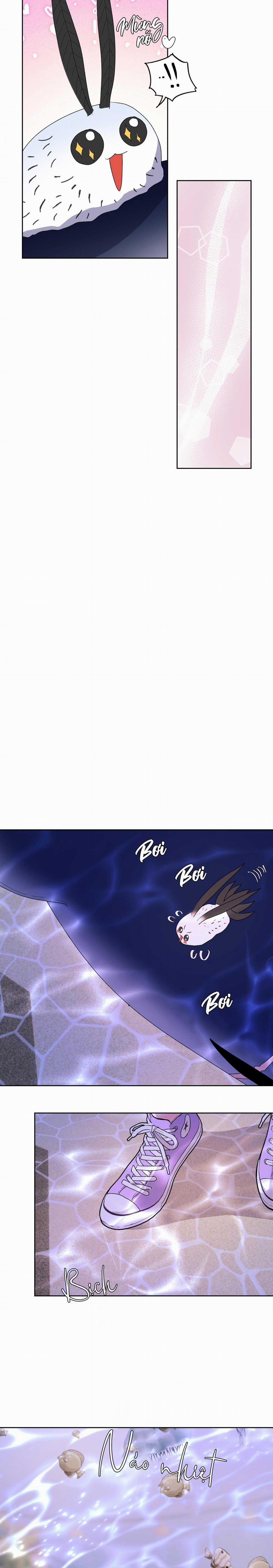 CÁ MẬP VÀ CÔ DÂU THỎ 20 trang 6