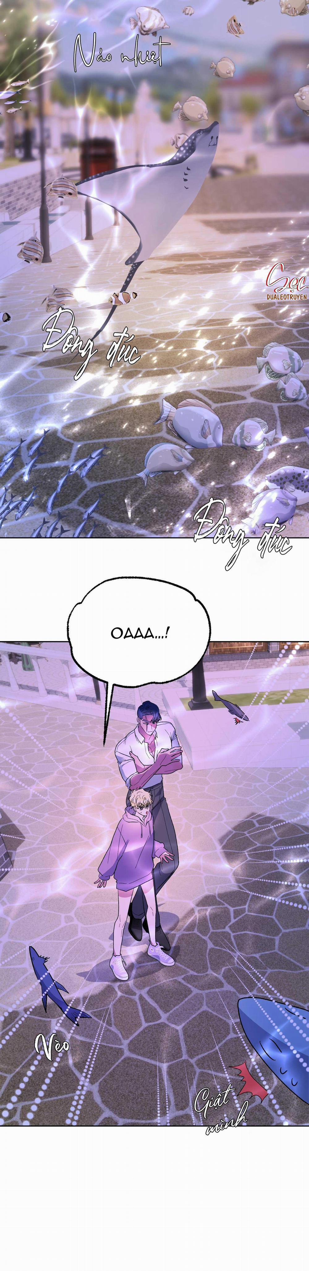 CÁ MẬP VÀ CÔ DÂU THỎ 20 trang 7