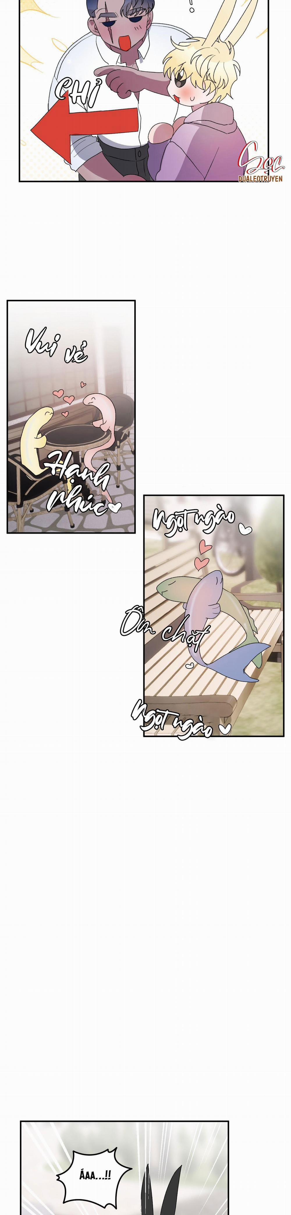 CÁ MẬP VÀ CÔ DÂU THỎ 21 trang 11