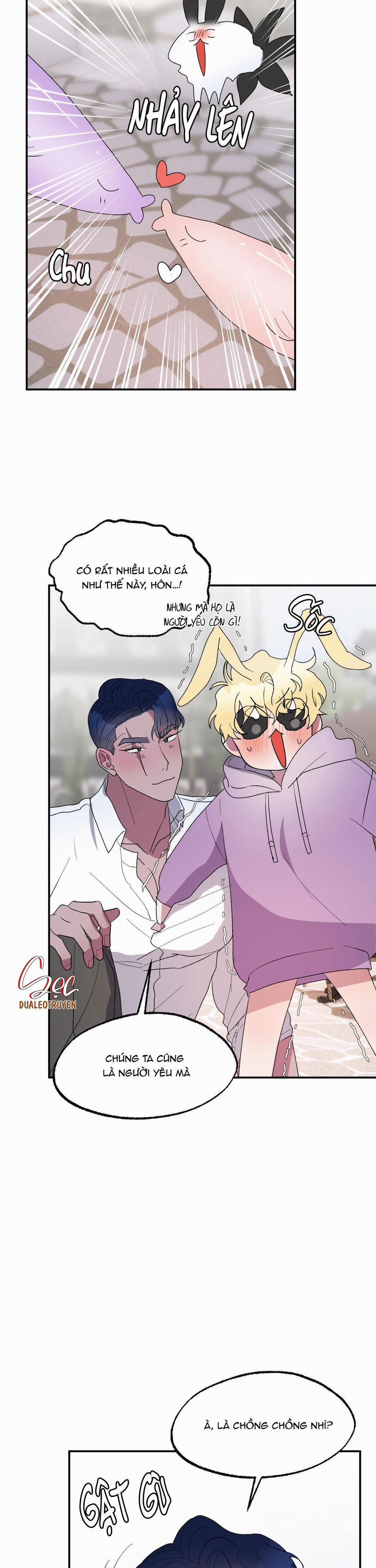 CÁ MẬP VÀ CÔ DÂU THỎ 21 trang 12