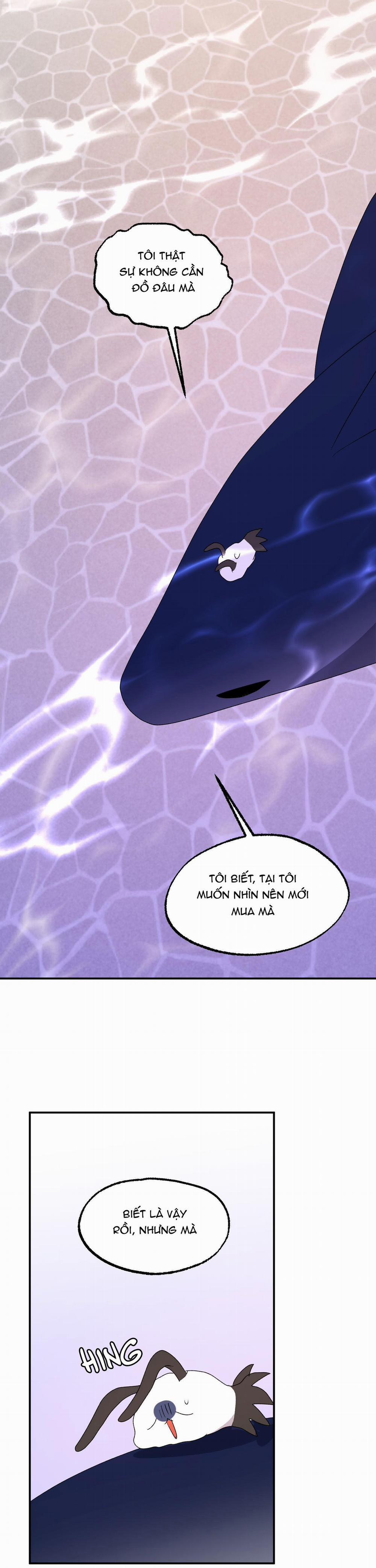 CÁ MẬP VÀ CÔ DÂU THỎ 21 trang 7