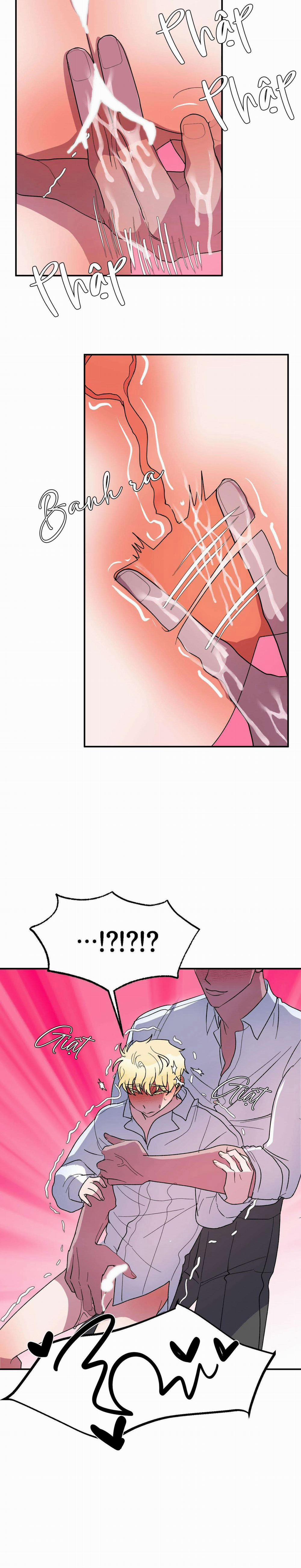 CÁ MẬP VÀ CÔ DÂU THỎ 22 trang 11