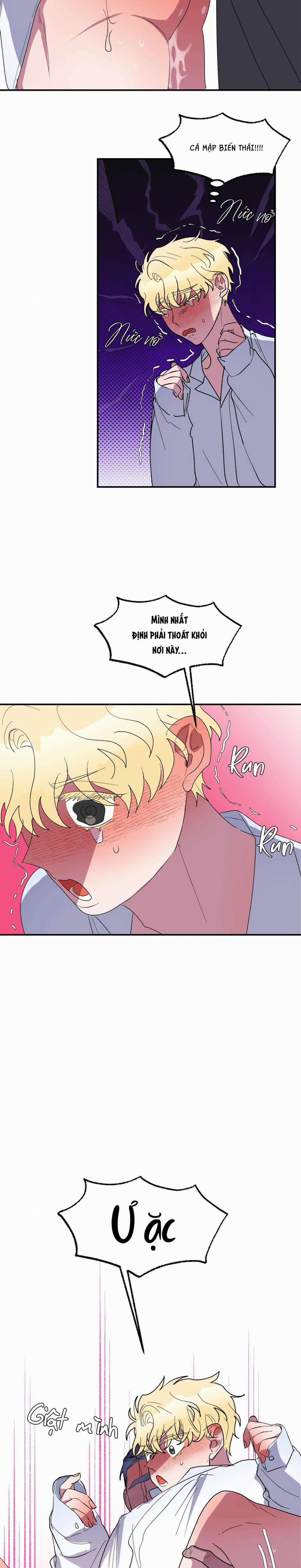 CÁ MẬP VÀ CÔ DÂU THỎ 22 trang 14