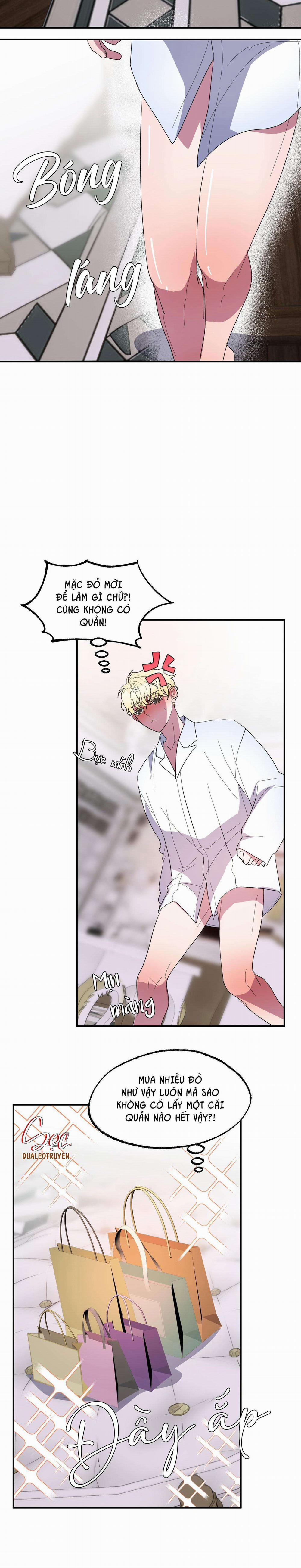 CÁ MẬP VÀ CÔ DÂU THỎ 22 trang 1