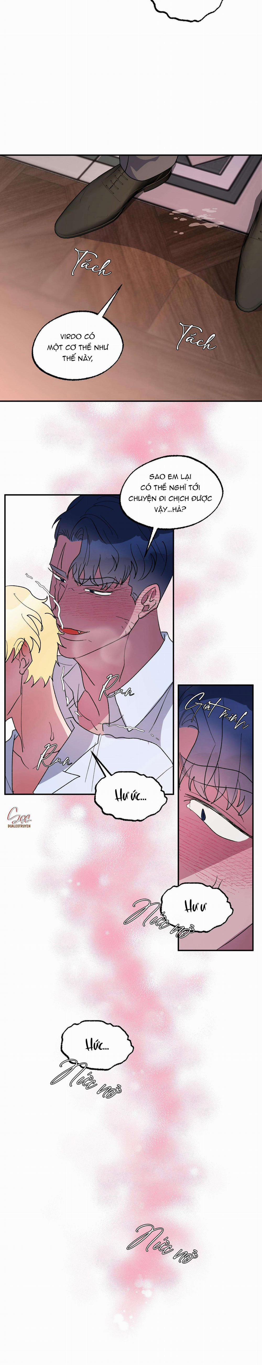 CÁ MẬP VÀ CÔ DÂU THỎ 22 trang 19