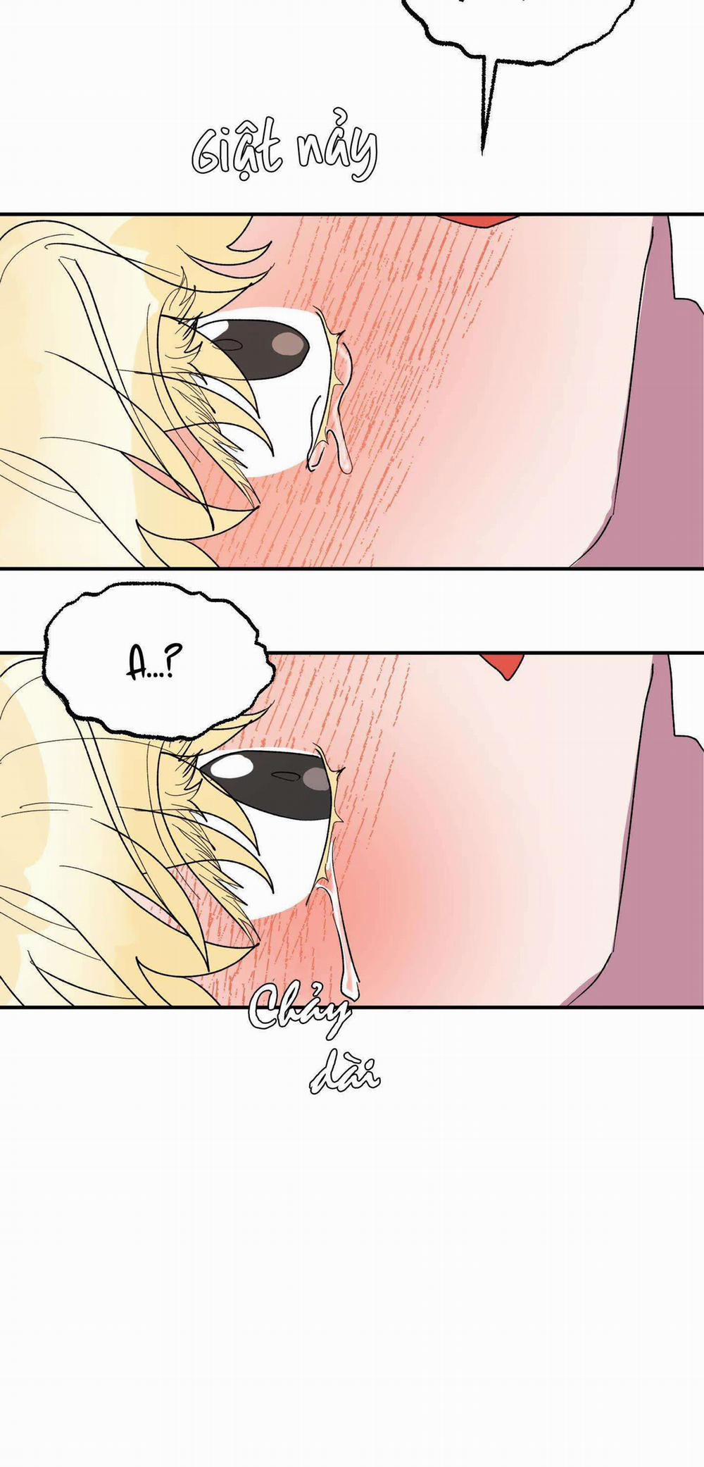 CÁ MẬP VÀ CÔ DÂU THỎ 23 trang 50