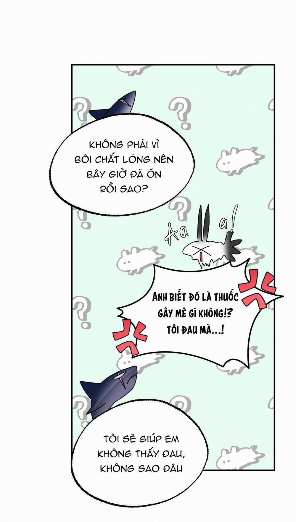 CÁ MẬP VÀ CÔ DÂU THỎ 24 END SS1 trang 16